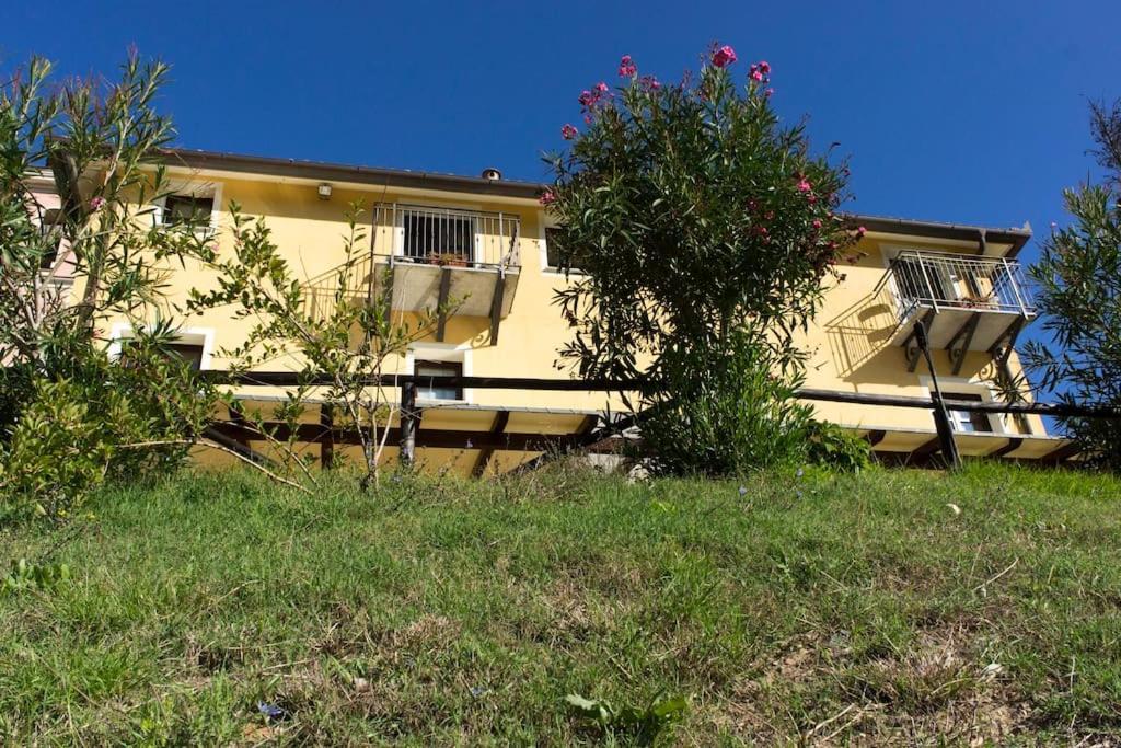 Agriturismo A Canonica Garlenda Exterior photo